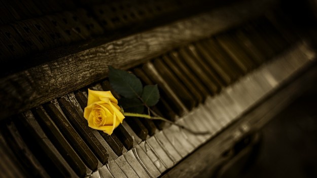 piano-teacher-in-wallsend-nsw-rose